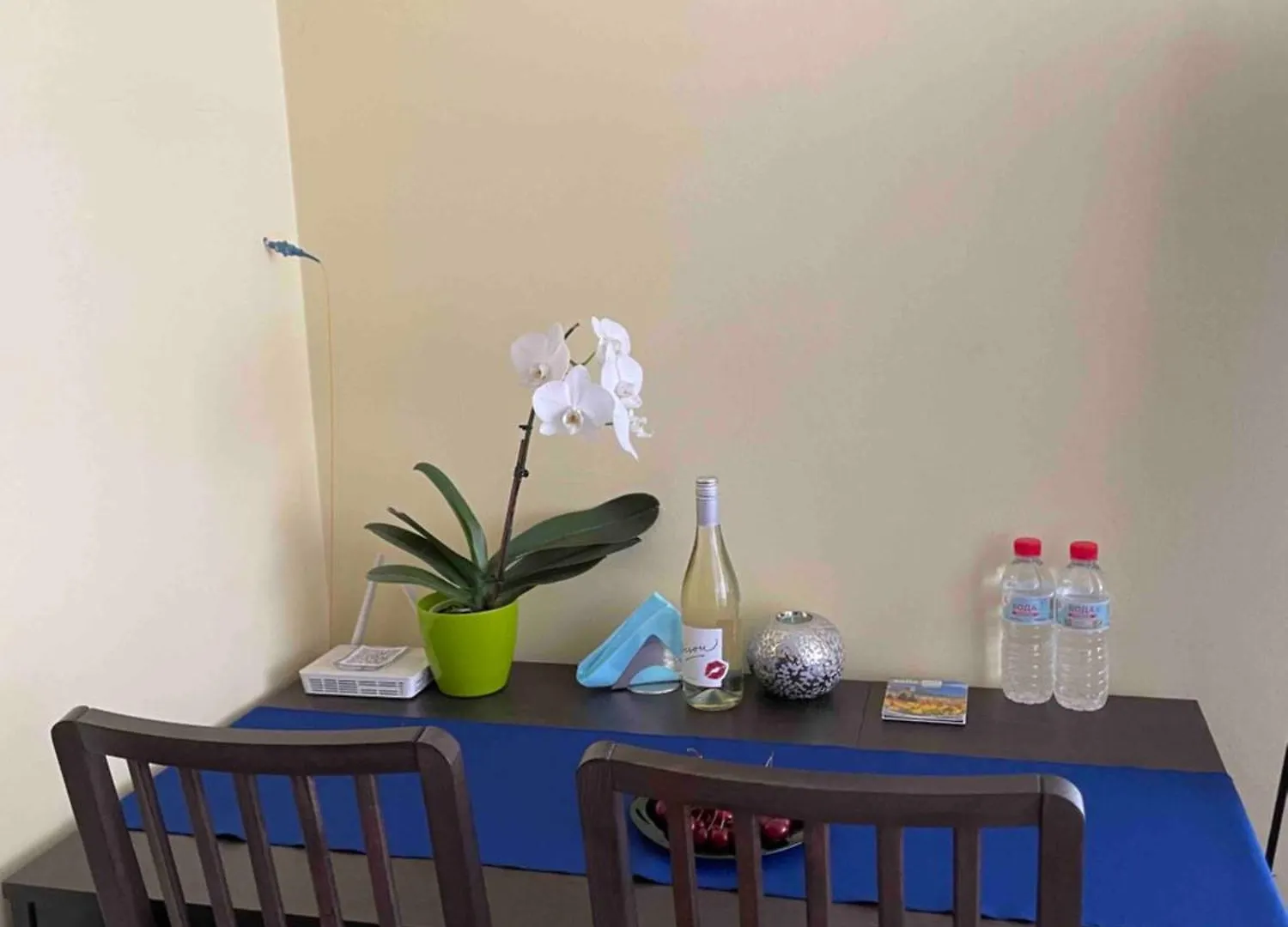 Apartment Blue Orchid Studio Near Airport & Free Parking Sofia Bulgaria